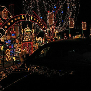 Take a look at this lighted archway along with the hundreds of lights! 